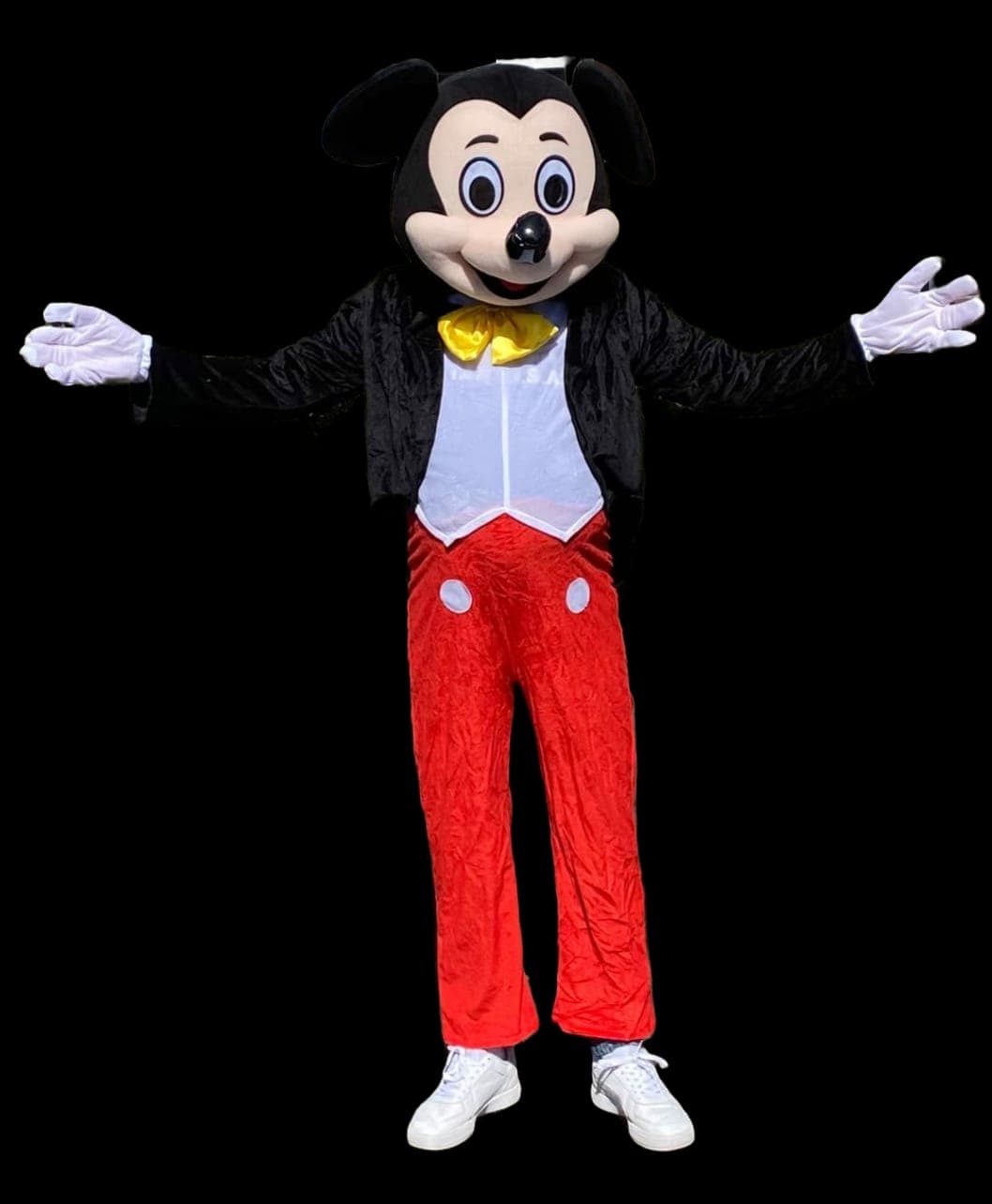 Mascotte: Mickey Mouse